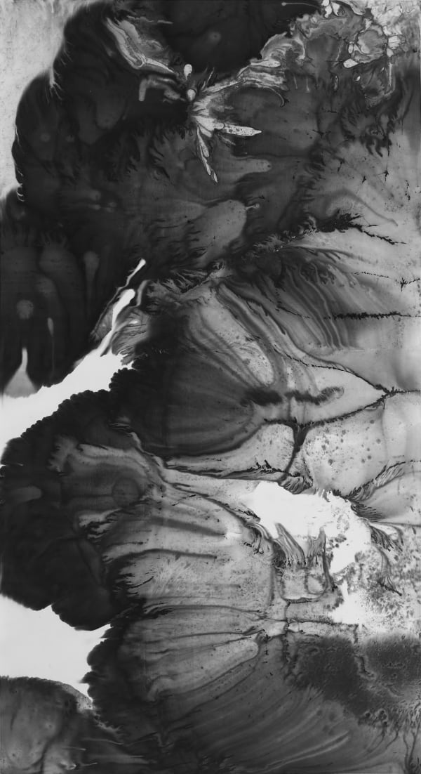 BINGYI 冰逸 溪山万花-2 Streams and Mountains, Myriad Flowers No.2, 2021-2022 Ink on paper 纸本水墨 178 x 96 cm